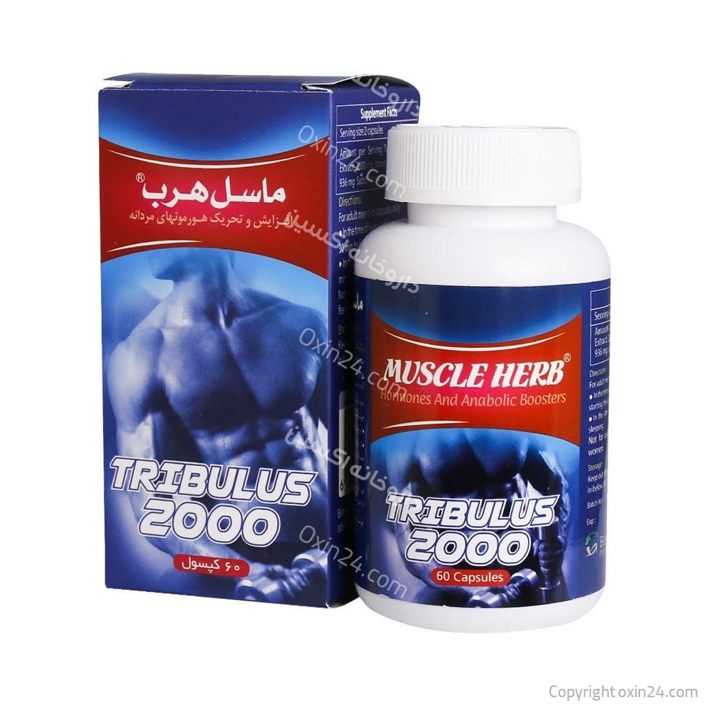 تریبولوس ماسل هرب 60 عددی